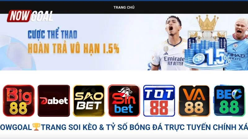 Giới thiệu sơ lược về thiên đường cá cược Nowgoal